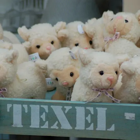 Semesterpark Roompot Kustpark Texel