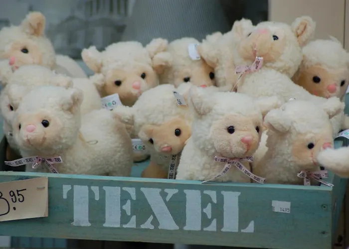 假日公园 Roompot Kustpark Texel