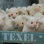 פארק נופש Roompot Kustpark Texel